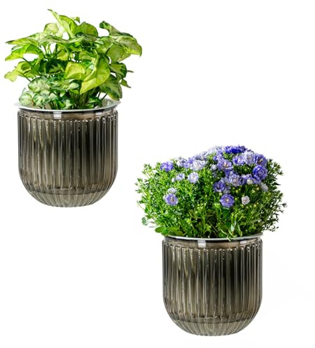 Josteve Macetas de riego automático para interiores, 13,5 cm, paquete de 2 macetas de plástico para orquídeas, macetas de jardín al aire libre para hierbas, plantas de casa, violetas africanas, maceta