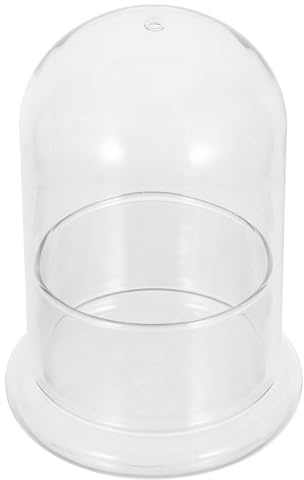 VICASKY Kleines Glas Terrarium mit Hydroponik System Höhe für DIY Moos Ecosystem Wasserbasierte Pflanzenvermehrung Platzsparend für Indoor Pflanzen Gewächshaus