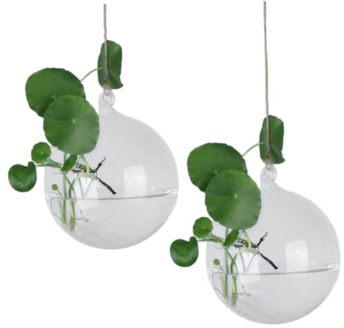 2 Stück hängende Glas-Pflanzgefäße, 9, 9 cm große, klare, runde Wandvase mit Seil, hitzebeständiges hängendes Terrarium, Pflanzenterrarium für Zuhause, Büro