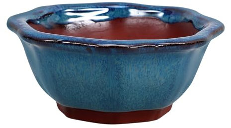 Yardwe Maceta de Cerámica Azul con Agujero de Drenaje para Suculentas y Orquídeas Diseño Pequeño y Delicado Adecuado para Escritorio o Alféizar
