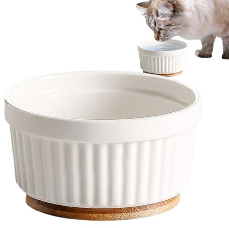 Beheizte Schüssel für Katzen, beheizte Wasserschale für Katzen, thermostatischer Teller für Winterkatzen, Wärmeplatte für Hunde und Haustiere, Futternapf für Kätzchen