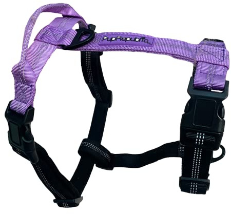 PupRepublic Hundegeschirr - Stark, bequem, atmungsaktiv & voll verstellbar, kein Ziehen Geschirr für Hunde - Hundegeschirr Medium (Lila & Schwarz, Medium)