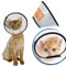 JIAMIAN Cono Recupero Animali Domestici, Regolabile collare elisabettiano gatti, per Cane Gatto Ferita Recupero Guarigione Collare Anti Morso o Leccata (Neck :35-40cm)