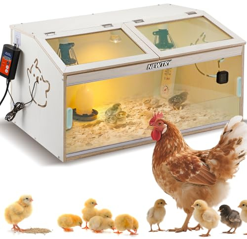 NEWTRY Scatola per polli con porta scorrevole capacità per 35 polli uccelli quaglie, Cassa per allevamento pollo con 3 lampade di riscaldamento, 1 regolatore di temperatura, 2 tipi di termometro