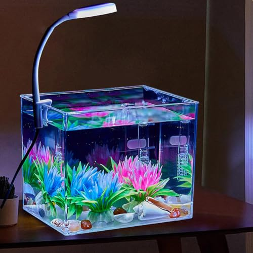 Aquarium Rechteckig 15x13x13 cm, Plastikzuchtbox für Fische und Wasserpflanzen, Becken mit 3W Lampen, für Büros, Schlafzimmer, Schreibtisch, Transparente