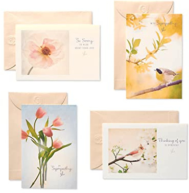 American Greetings Sympathy Cards Assortment with Envelopes, Floral (12-Count)