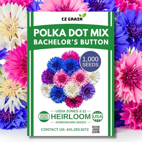 1,000 Polka Dot Bachelor Button Seeds for Planting - Heirloom, Non-GMO, USA Grown Cornflower Seeds - Easy to Grow, Cut Flower & Pollinator Favorite – Colorful Centaurea Cyanus