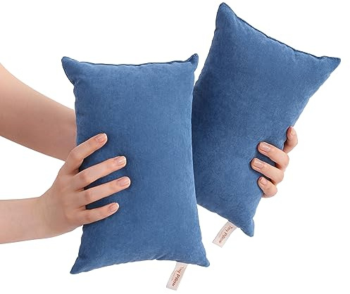 BEDSUM 2 Pack Tiny Pillows, 11x7 Microfiber Mini Pillow for Travel, Pets, Soft and Machine Washable Small Pillows for Neck, Wrist, and Knee Comfort, Denim Blue