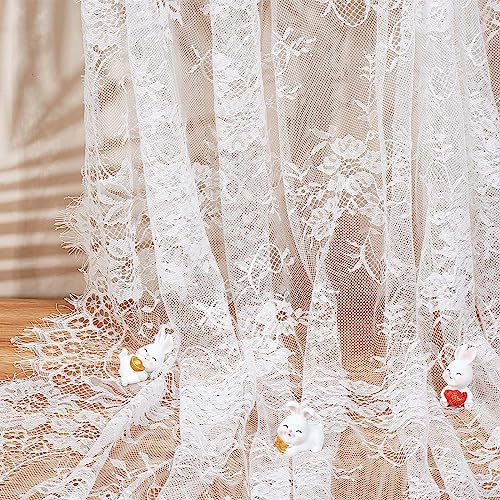 GORGECRAFT Tessuto In Pizzo Chantilly Bianco Da 300x150 cm Pizzo per Ciglia Francesi Tessuti per Ricami Floreali Tessuto In Nylon Vintage Bordo Smerlato Nastro Fiore Abiti Fai Da Te Applique