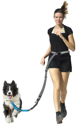 Freihandleine Hund, 2-in-1 Bungee Hundeleine & Anschnallgurt Hund Auto | 147-235cm Crossbody Hüfte Hand für Mittelgroße Hunde, 196kgf+ Zugkraft, 360° Drehgelenk, Reflektierend, Doppelgriff, Graublau