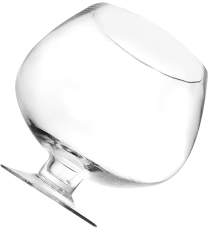 Abaodam Aquarium Verre Transparent Réservoir Poisson Bureau Décoratif Multifonction Vase Écologique Micro Paysage pour Betta et Plantes