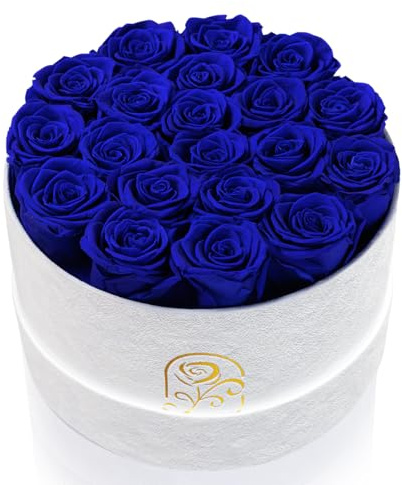 Gifts for Women Preserved Roses Flower Box, Luxury Velvet Box with 20 Roses, Preserved Flowers, Romantic Gift for Her, Wife, Girlfriend, Birthday Anniversary Christmas (Royal Blue)