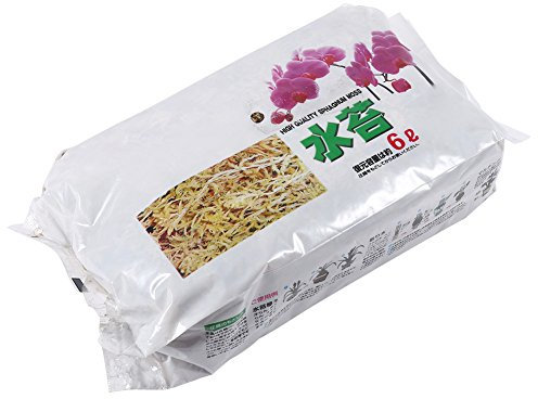 Sfagno Per Orchidee, Terriccio Per Orchidee, Fertilizzante organico nutrizionale idratante al muschio di sfagno da giardino da 6 litri per orchidea Phalaenopsis Sfagno Per Piante