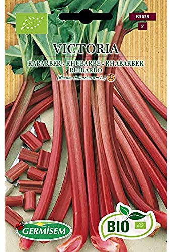 Germisem Biologico Victoria Rabarbaro 10 Semi