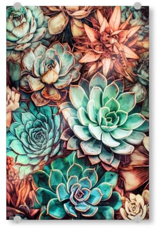 artboxONE Acrylglasbild 30x20 cm Natur Sukkulenten und Kakteen H - Bild sukkulenten Blumen Blumen