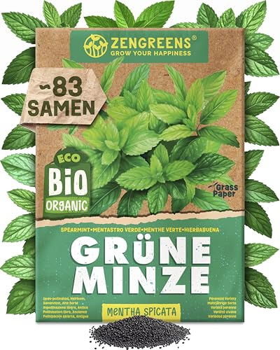 ZenGreens® - Bio Grüne Minze Samen - Grüne Minzesamen - Kräutersamen für den einfachen Anbau im Garten, Balkon oder Küche - Kräuter Saatgut ideal für Anfänger
