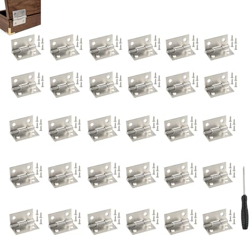 30 Piezas Bisagras Pequeñas de Acero, Bisagras Miniaturas Medidas 25*24*0.8mm, Incluidas 120 Tornillos Y Un Destornillador, Adecuadas para Manualidades, Casas de Muñecas Y Juguetes de Construcción