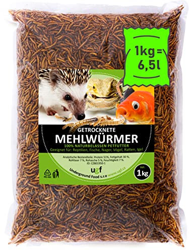 UGF - Premium Mehlwürmer getrocknet 1 Kg, Insekten Snacks für Vögel, Hamster, Igel, Nager, Eidechsen, Schildkröten - ohne Konservierungsmittel und Farbstof