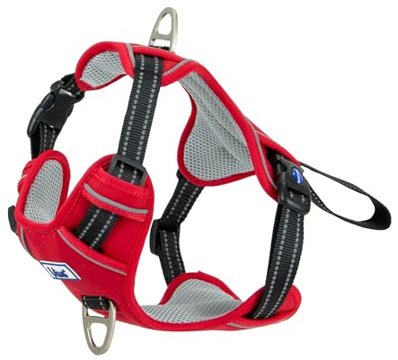 Ancol Viva Exercise and Travel Dog Harness in Red - Comfortable Pet Accessory with Padded Chest and 2 Leash Clips - Medium 45-65cm