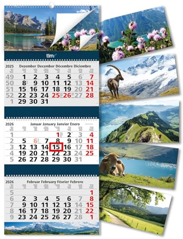 Timr calendrier 3 mois 2026 images - calendrier mural 3 mois avec curseur à suspendre - calendrier illustré 6 motifs interchangeables - 81 cm - multilingue D GB F E - tr338