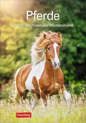 Pferde - Kalender 2024 - Harenberg-Verlag - Wochenkalendarium - 54 Blatt mit großformatigen Tieraufnahmen - Wandkalender - 25 cm x 35,5 cm