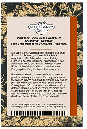 Puffbohne, Dicke Bohne 'Hangdown Grünkernig' (Vicia faba) 20 Samen Saubohne Favabohne Ackerbohne
