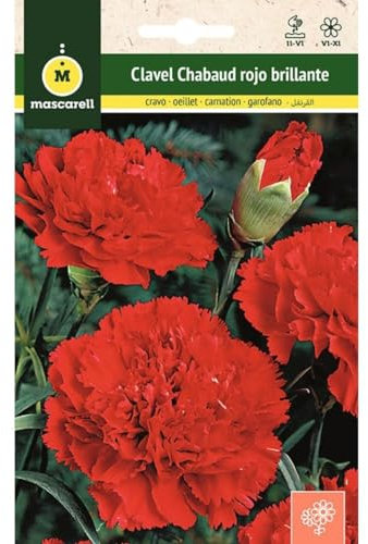 Mascarell Semillas, CLAVEL CHABAUD GIGANTE ROJO BRILLANTE, Semillas Flores Exterior para Decoración, 0,4 Gramos