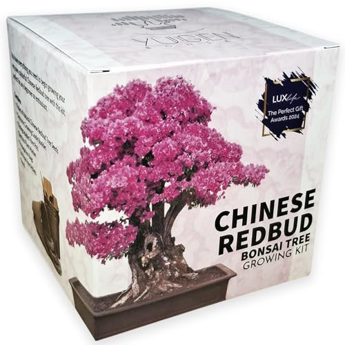 Chinese Redbud Bonsai Tree Growing Kit – Grow Your Own Bonsai Tree Starter Set with Seeds, Pots & Soil – Peat-Free – Made in The UK