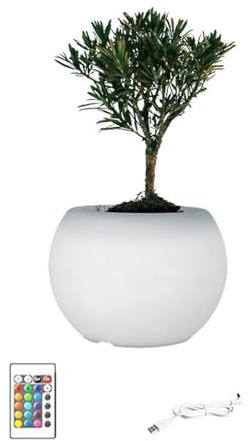 Navna Macetas LED multicolor para plantas suculentas, modelos de color regulables, herramienta de jardinería interior, moderna luz LED para jardín