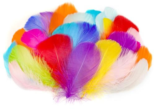 AOOTE Bastelfedern,100 Stück Deko Federn,6~12cm,Bunte Federn,Weich Federn,Flaumfedern,Feder Handwerk für DIY Ohrring,Kopfschmucksfedern,Traumfänger,Hochzeit,Ostern,Weihnachten