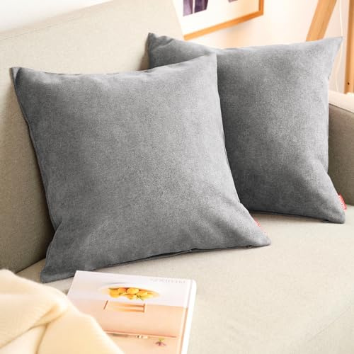 Blumtal 2er Set Kissenbezug 45x45 grau - kuschelige Chenille Kissenbezüge mit verstecktem Reißverschluss, Oekotex Zertifizierte Kissenhülle für Deko-Kissen Sofakissen Polster & Zierkissen