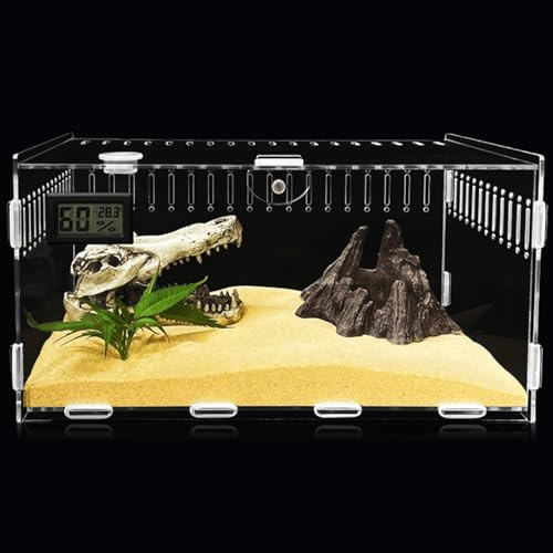 Acryl Terrarium Schnecken Terrarium: Reptile Fütterungsbox 20 * 12 * 12cm, Transparent Schnecken Mini Terrarium, Kriechender Haustier Acryl-Terrarium-Behälter für Reptilien, Schnecken, Spinnen