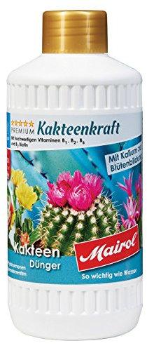 Mairol Premium Kakteen Dünger Kakteenkraft Liquid 500 ml