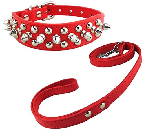 Newtensina Mode Hundehalsband und Leinen Set Weich Nieten Halsband mit Hunde Leinen für Kleine Hunde Mittlere Hunde