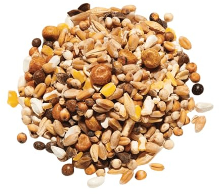 Countrywide Squeaker Pigeon Food 20kg Mix - Premium Well-Balanced Baby Pigeon Feed - Dust Free Quality Ingredients - Small Seeds For Fledglings