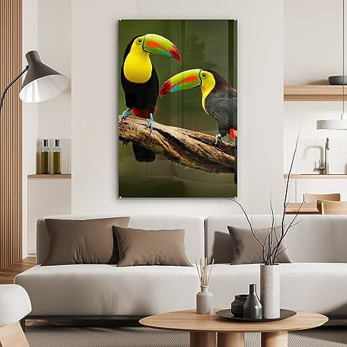 MuchoWow Glasbild Glasfoto Wandbild Bilder Deko 80x120 cm Vögel - Tukan - Zweig - Tiere - Regenbogen