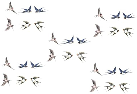 Ciieeo 5juegos Adhesivo Anti-colisión Para Ventanas Pegatinas Estáticas Para Choques De Aves De Diseño Para Interiores Sin Adhesivo De Retirar y Reutilizar