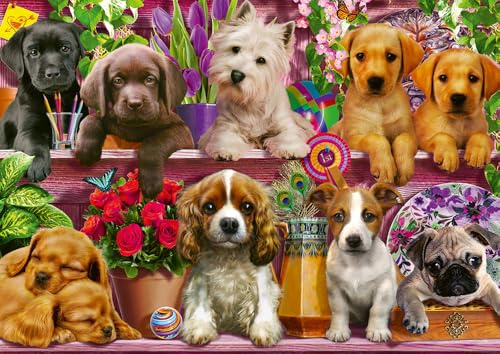 Hunde im Regal (Puzzle)