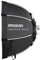 Amaran Light Dome Mini SE - Studio Softbox per Amaran 60/100/200, Aputure LS 60, LS 300D, 300D II, 300X e altri Bowens Mount Video Light