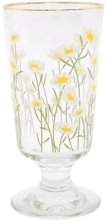 PZEOB Copas Vino Vaso de Vino de 315ml/10,7 oz, Bonita Copa de Vino para el hogar, Juego de Copas de cóctel con Posavasos y pajitas, Copas de Jugo, Copas de champán