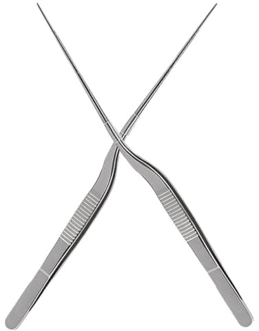 HOMSFOU Pinzette in Acciaio Inox 2 Pezzi per Alimenti da Cucina, Strumento per Posizionare Piatti dello Chef, Morsetto Preciso per Decorazione e Impiattamento Professionale, per Uso