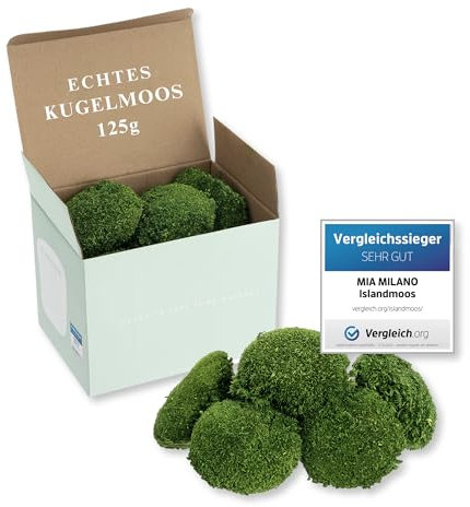 Mia Milano Kugelmoos naturgrün konserviert | 125g Echtes Bollenmoos für Moosbilder| Haltbares Moos zum Basteln | Wetterfestes naturgrünes Islandmoos