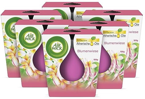 Air Wick Wohlfühl-Duftkerze im Glas – Duft: Blumenwiese – Enthält natürliche ätherische Öle – 6 x 105 g Duftkerzenset