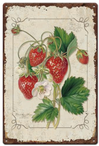 SUPERDANT Metal Tin Sign Strawberry Metal Signs Retro Fruits Wall Decor Plaque Outdoor Garden Decoration Vintage Wall Art Poster for Fruit Shop Pantry Bedroom Girl's Room