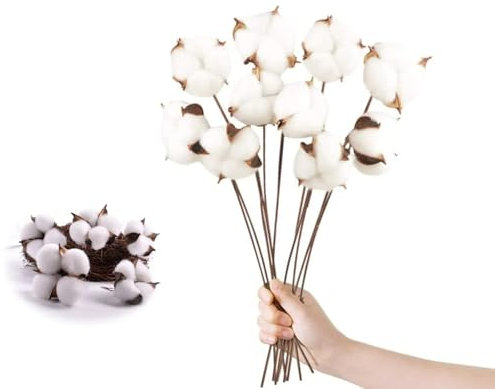 CaiTang 10 Stück Getrocknete Baumwolle Zweig und 5 Stück Baumwollblumenköpfe, Natürlich Getrocknete Baumwolle Trockenblumen Deko, Dekoration für die perfekte Hochzeit, Blumen Arrangements Heim Decor