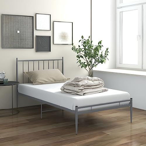MOBCANT Bett, Bettrahmen Familienbett Futonbett Betten Geeignet für Gästezimmer Schulen Wohnungen Hotel Grau Metall 100x200 cm