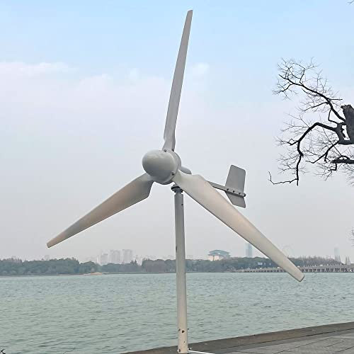 Aerogenerador 3000W Turbina eolica 48V 96V 220V Generador eólico horizontal 3KW Generador de imanes permanentes 3 palas energía libre (220V)