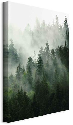 murando - Akustikbild Wald Nebel 40x60 cm 1 tlg Bilder Akustikschaum Hochleistungsschallabsorber Schallschutz Leinwand Wandbild Raumakustik Schalldämmung Bäume grün c-B-0394-b-a