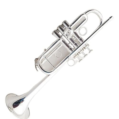 Trompeten Messinginstrument C-Trompete Versilbert Anfänger Profi Tragbar Sound Standard