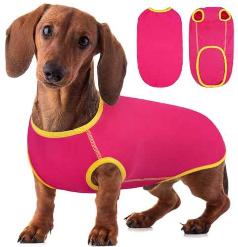 Hjyokuso Dackel Pullover - Fleece Hundepullover, Kleidung Für Kleine Hunde, Dachshund Sweater, Shirts Für Hunde